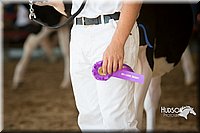 LCFAIR15-0635.jpg