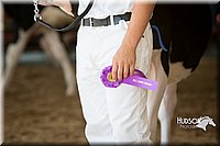LCFAIR15-0637.jpg