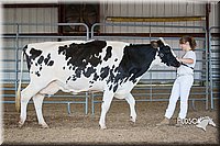 LCFAIR15-0638.jpg