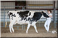 LCFAIR15-0640.jpg