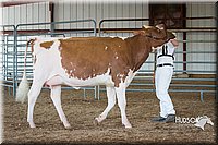 LCFAIR15-0641.jpg