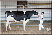 LCFAIR15-0644.jpg