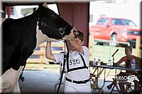 LCFAIR15-0646.jpg
