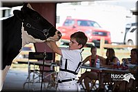 LCFAIR15-0647.jpg
