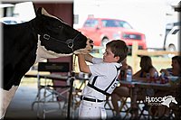 LCFAIR15-0648.jpg
