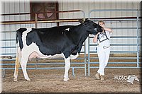 LCFAIR15-0650.jpg