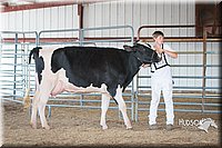 LCFAIR15-0651.jpg