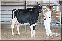 LCFAIR15-0654.jpg