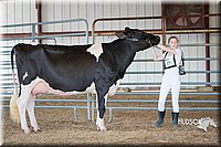 LCFAIR15-0655.jpg