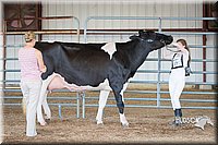 LCFAIR15-0656.jpg