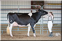 LCFAIR15-0657.jpg