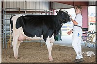 LCFAIR15-0658.jpg