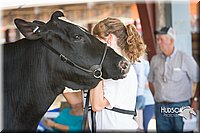 LCFAIR15-0659.jpg