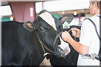 LCFAIR15-0660.jpg