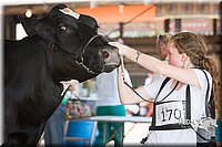 LCFAIR15-0665.jpg