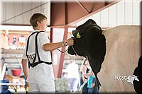 LCFAIR15-0677.jpg
