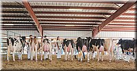 LCFAIR15-0681.jpg