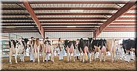 LCFAIR15-0682.jpg