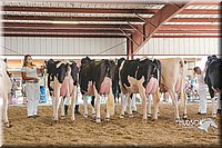 LCFAIR15-0683.jpg