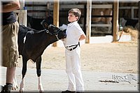 LCFAIR15-0688.jpg