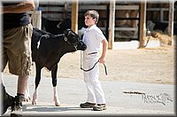 LCFAIR15-0689.jpg