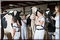LCFAIR15-0693.jpg