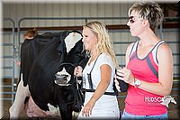 LCFAIR15-0709.jpg