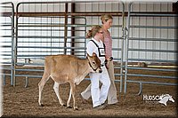 LCFAIR15-0711.jpg