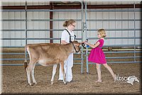 LCFAIR15-0712.jpg