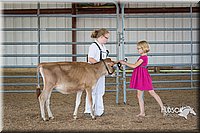 LCFAIR15-0714.jpg
