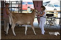 LCFAIR15-0716.jpg