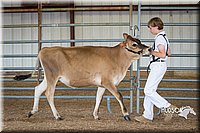 LCFAIR15-0717.jpg