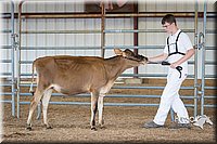 LCFAIR15-0720.jpg