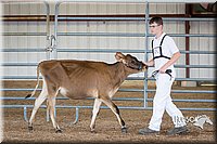 LCFAIR15-0721.jpg