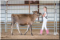 LCFAIR15-0722.jpg