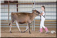 LCFAIR15-0723.jpg