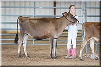 LCFAIR15-0724.jpg