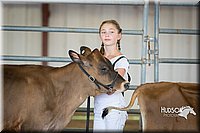 LCFAIR15-0726.jpg
