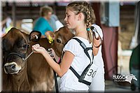 LCFAIR15-0727.jpg