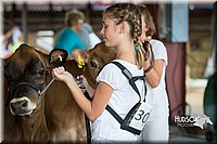 LCFAIR15-0728.jpg