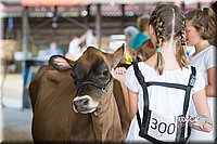 LCFAIR15-0729.jpg