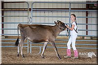 LCFAIR15-0730.jpg