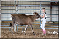 LCFAIR15-0731.jpg