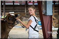 LCFAIR15-0732.jpg