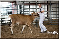 LCFAIR15-0734.jpg