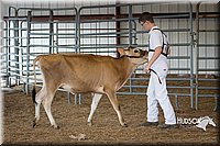 LCFAIR15-0735.jpg