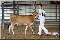 LCFAIR15-0736.jpg