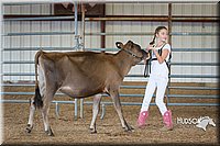 LCFAIR15-0740.jpg