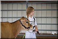 LCFAIR15-0741.jpg
