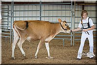 LCFAIR15-0743.jpg
